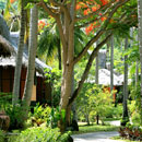 ԥ  ӥå ӡ꥾   Phi Phi Island Village Beach Resort & spaڥꥢХ󥬥